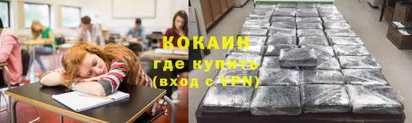 spice Новодвинск