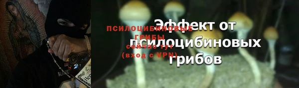 дурь Новокубанск