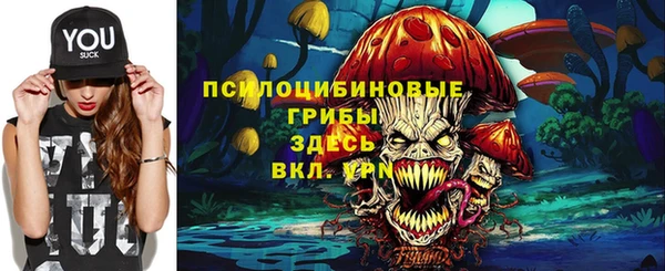 spice Новодвинск