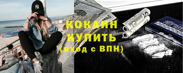 spice Новодвинск