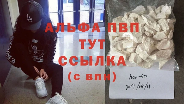 spice Новодвинск