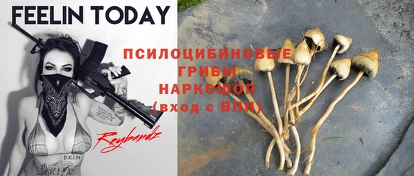 дурь Новокубанск