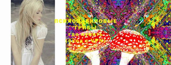 spice Новодвинск