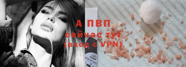 spice Новодвинск