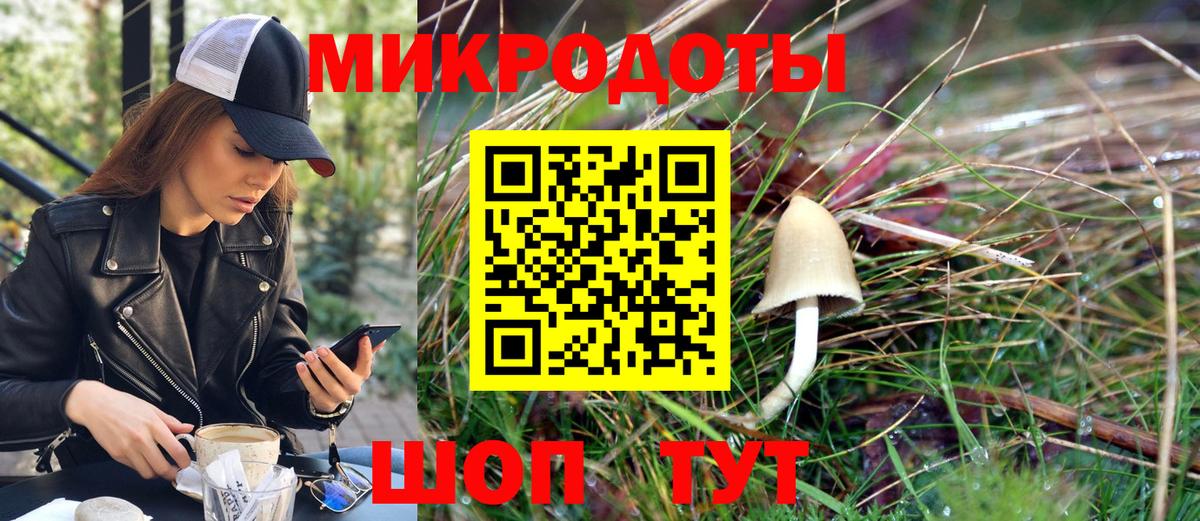 Смоленск  Галлюциногенные грибы прущие грибы  наркотики  Вход с VPN  Псилоцибиновые грибы Psilocybe 